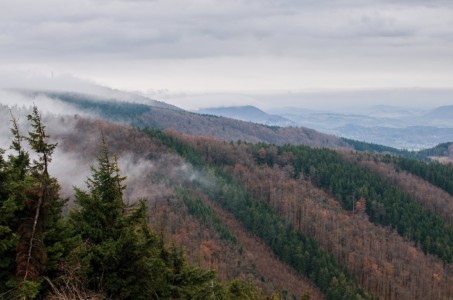 Mlha - Zvláštní cena poroty - mimo soutěžní kategorie