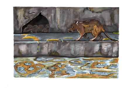 Leptospiróza - 3. místo - studenti SŠ a učilišť