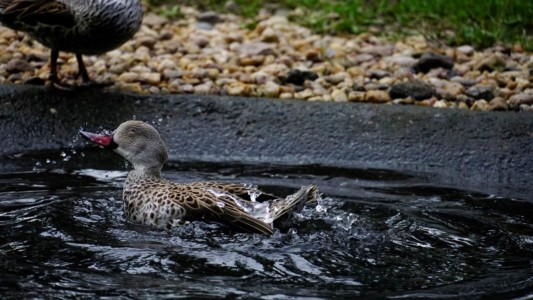 Radost v podzimním potoce - Zvláštní cena poroty - studenti SŠ a učilišť