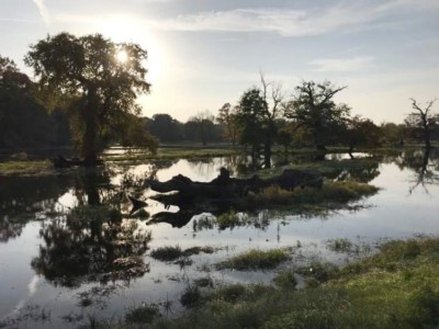 Dříve souš, nyní laguna - 2. místo - žáci 7.-9. třídy ZŠ