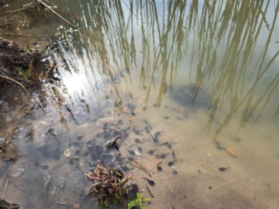1.-3. třída, 2. místo, Tomáš R., "Spolu je nám nejlíp"