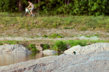7.-9. třída, 2. místo, Ondřej N., "Dobře utajené hnízdo"
