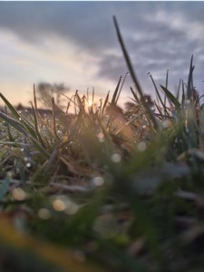 4.-6. třída, 3. místo, Elen O., "Ráno pohledem jednoho broučka"