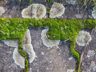 1.-3. třída, 3. místo, Danylo O., "Obraz"