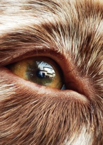 7.-9. třída, 1. místo, Evelína K., "Spolu"