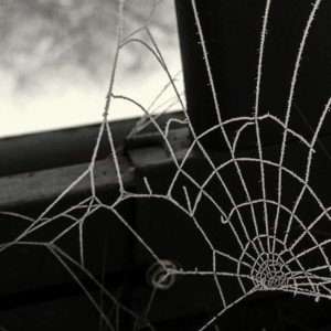 7.-9. třída, 3. místo, Michal B., "Tady bydlím já"