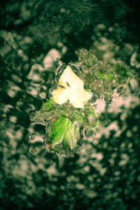 7.-9. třída, Zvláštní cena poroty, "Trosečníci"