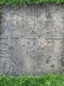 Handicapovaní a žáci spec. škol, 1. místo, David U., "Žížalí cestičky"