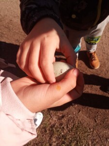 Handicapovaní a žáci spec. škol, 3. místo, Emma H., "Záhadné vajíčko"