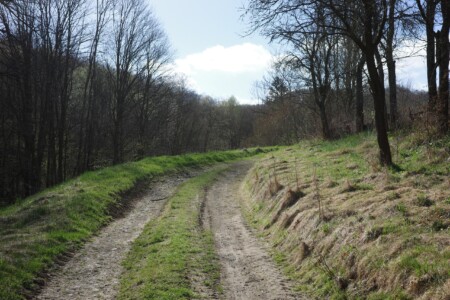 Handicapovaní a žáci spec. škol, 2. místo, Lukáš Š., "Jarní cesta"