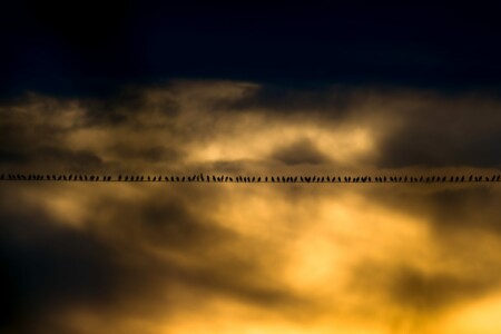 Střední školy, 3. místo, Matyáš M., "Shromáždění před cestou"