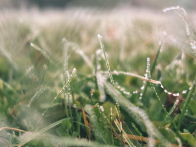 1.-3. třída, 3. místo, Nela T., "Když cestičky zamrznou"