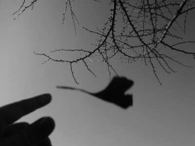 4.-6. třída, 2. místo, Nina H., "Leť!"