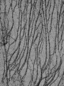 1.-3. třída, 1. místo, Sofie J., "Cesty pro broučky?"