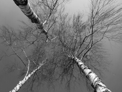 1.-3. třída, 1. místo, Sofie J., "Kdo vyroste výš?"