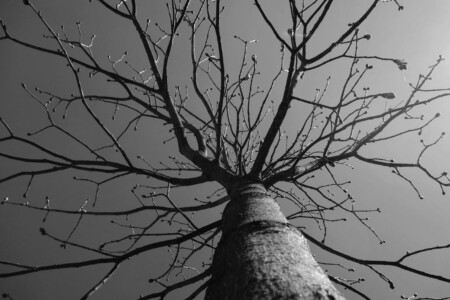 1.-3. třída, Zvláštní cena poroty, Tereza Ř., "Jaro"