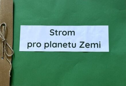 Předškoláci, Zvláštní cena poroty, Třída Medvíďata, "Strom pro planetu Zemi" (cover)
